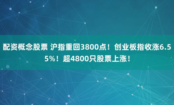 配资概念股票 沪指重回3800点！创业板指收涨6.55%！超4800只股票上涨！