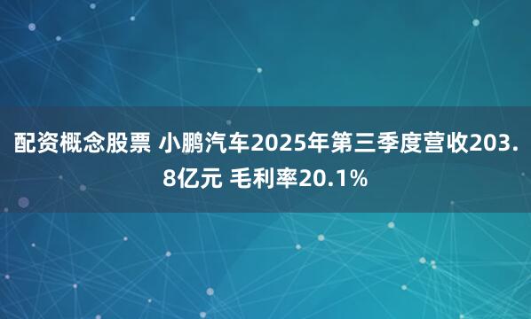 配资概念股票 小鹏汽车2025年第三季度营收203.8亿元 毛利率20.1%